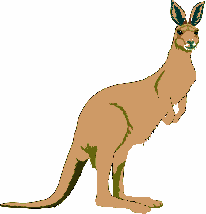 clipart picture of a kangaroo - photo #49